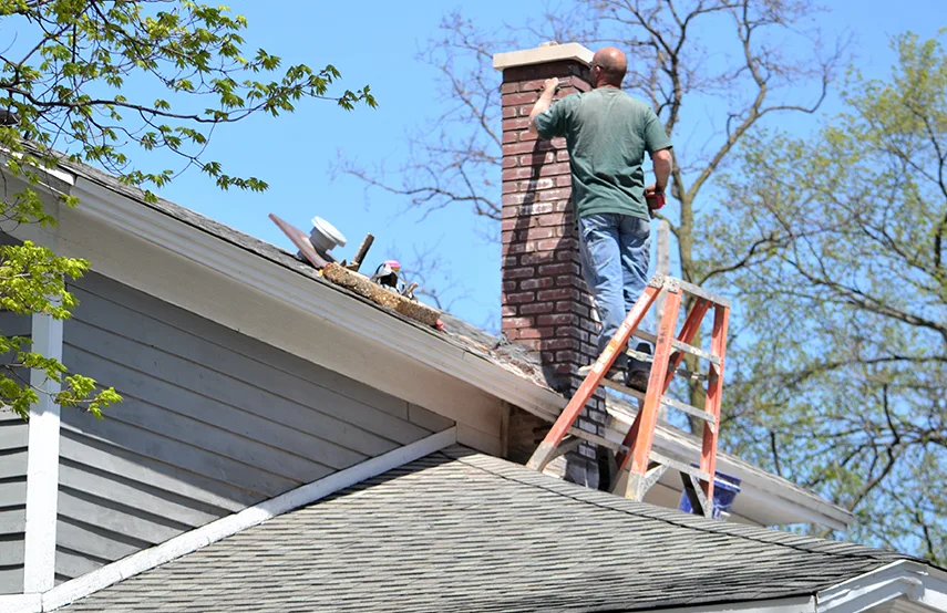 Chimney & Fireplace Inspections Services in Clinton, UT